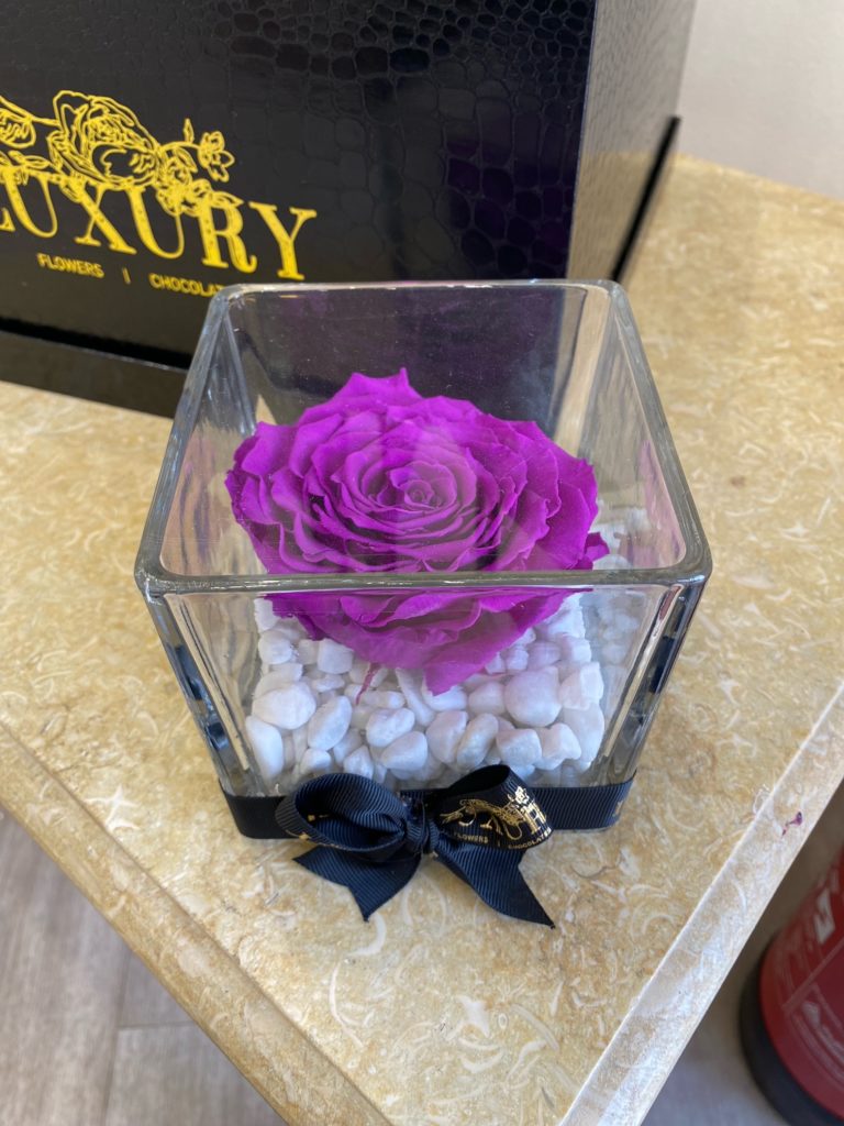Infinity Roses Qatar Infinity Rose in Square Glass – Luxury Qatar