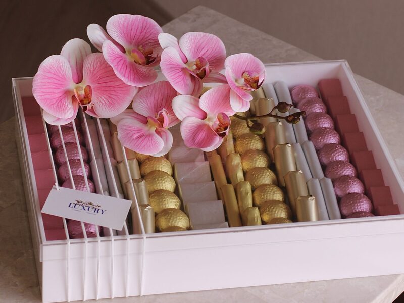 WhatsApp Image 2025-08-04 at 2.54.21 PM