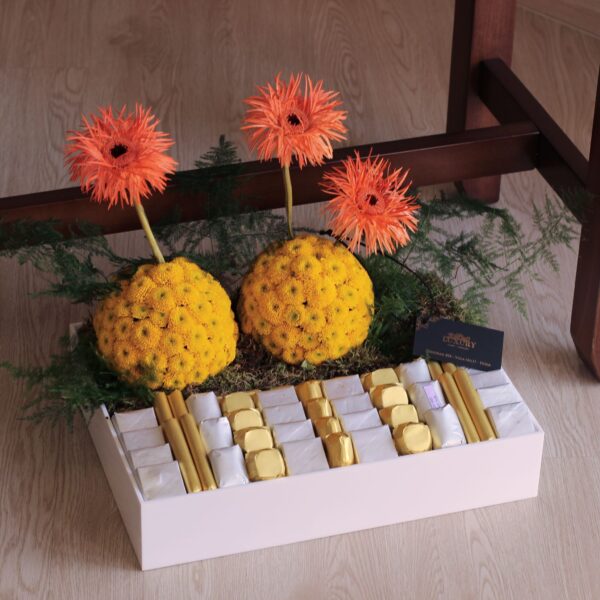 White Acrylic FA/MC 01