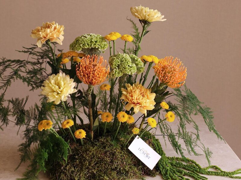 WhatsApp Image 2025-08-16 at 3.01.55 PM